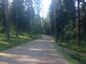 Kotikuntani on täynnä upeita lenkkipolkuja.