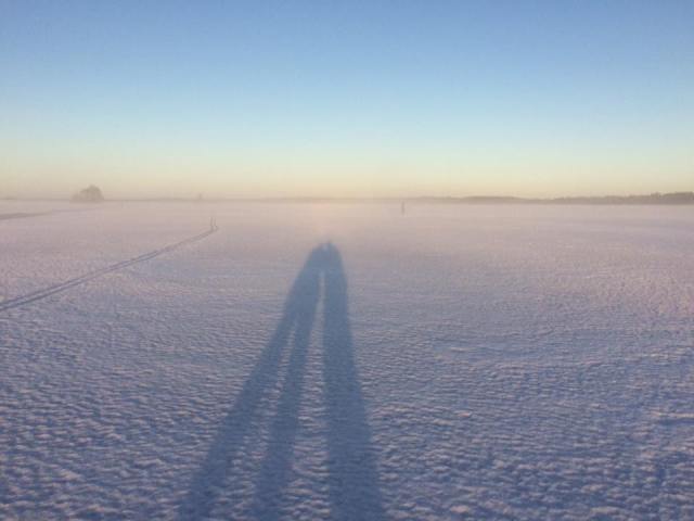 16265452_10212610575198171_8208639110848934368_n